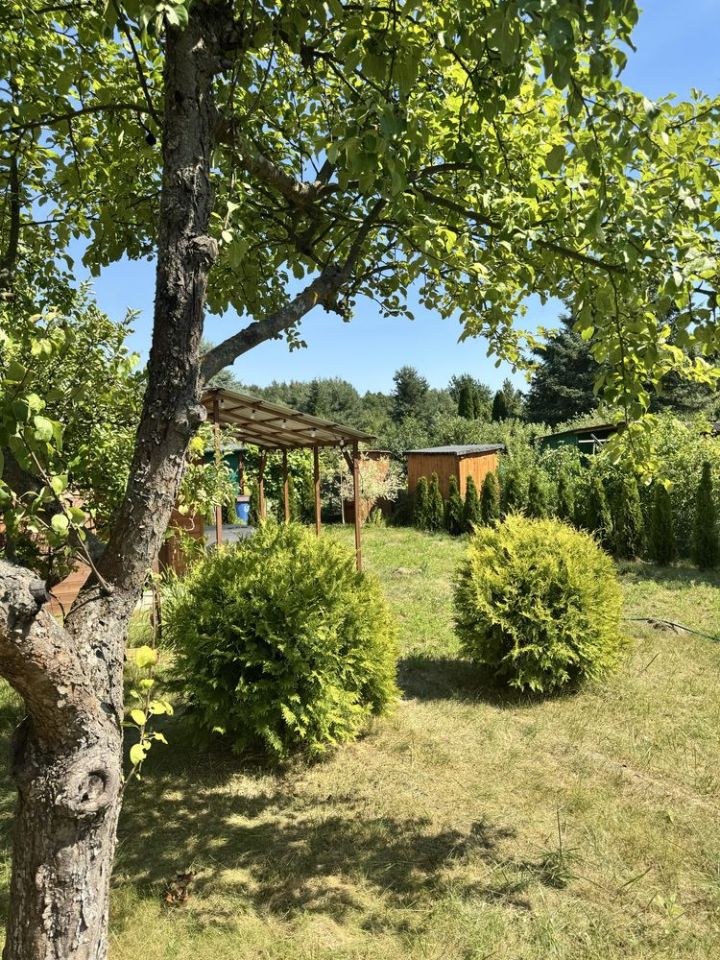 Działka rod Radom. Zdjęcie 4