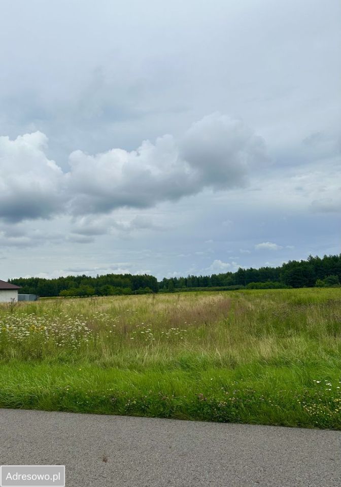 Działka budowlana Przedbórz. Zdjęcie 4