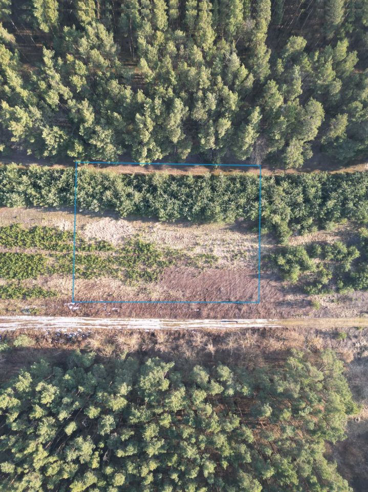 Działka rekreacyjna Gutarzewo. Zdjęcie 3