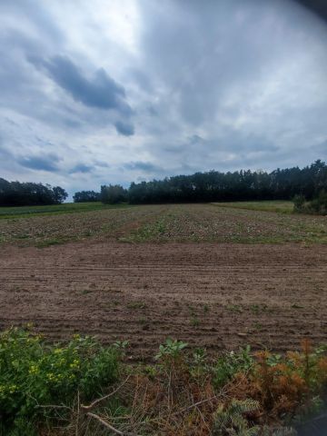 Działka rolna Komsin. Zdjęcie 1