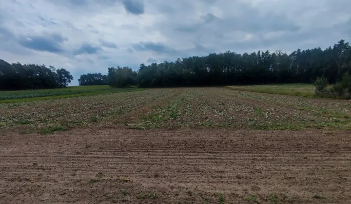 Działka rolna Komsin