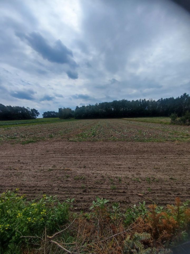Działka rolna Komsin. Zdjęcie 1