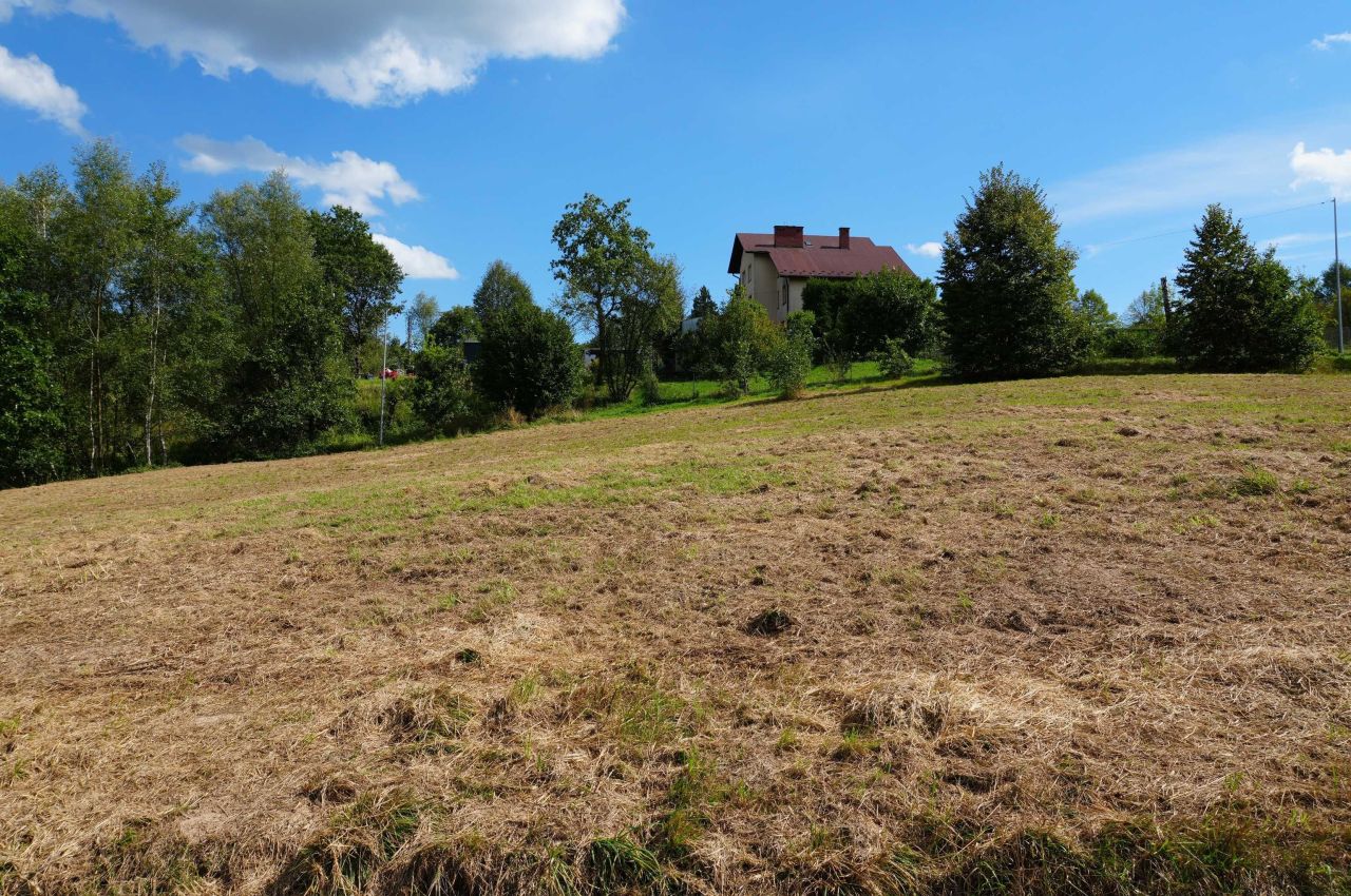 Działka budowlana Głogoczów. Zdjęcie 3