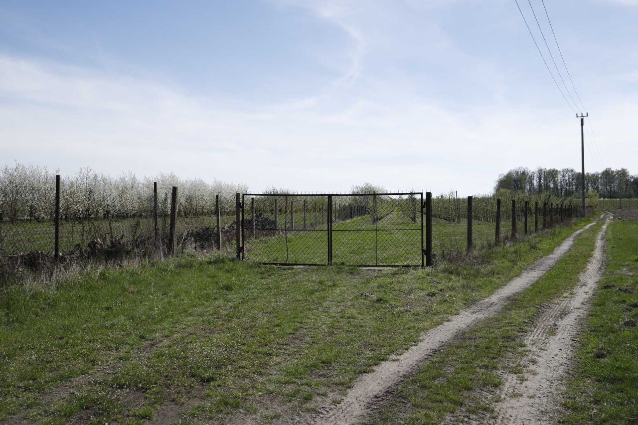 Działka rolna Coniew. Zdjęcie 7