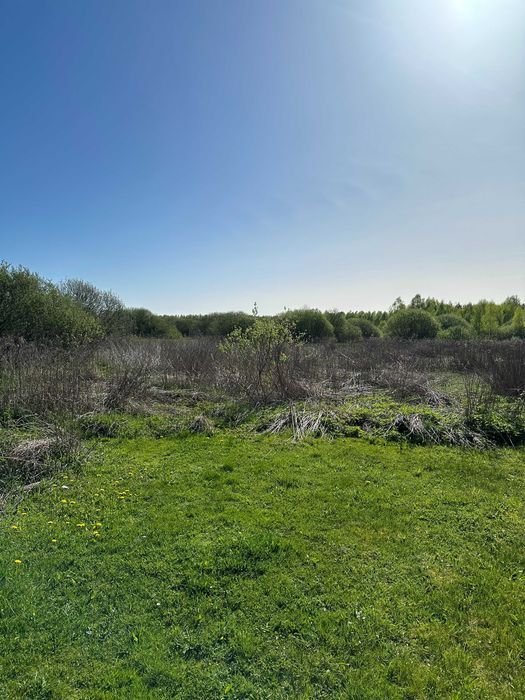 Działka rolna Borków. Zdjęcie 3