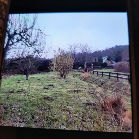 Działka rod Lubniewice. Zdjęcie 1