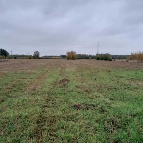 Działka rolno-budowlana Zaręby, ul. Zięby. Zdjęcie 1