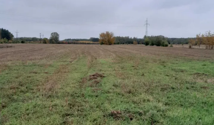 Działka rolno-budowlana Zaręby, ul. Zięby
