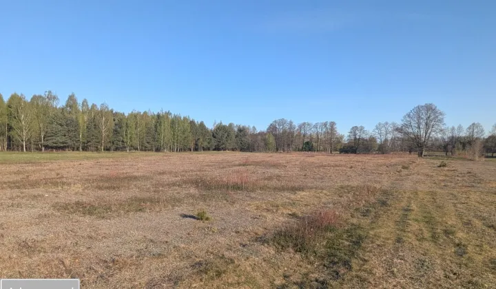 Działka budowlana Wilków Polski