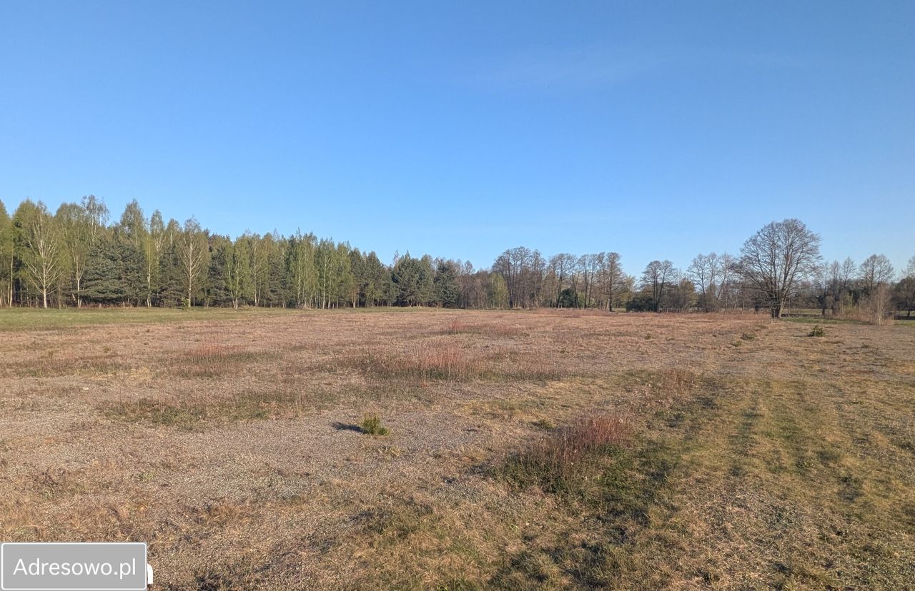 Działka budowlana Wilków Polski. Zdjęcie 1