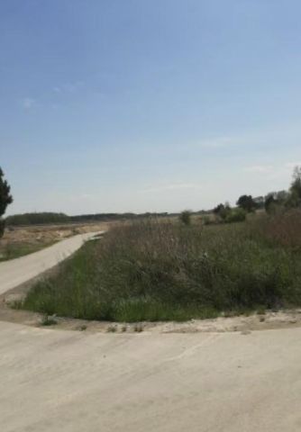 Działka budowlana Tomaszów Lubelski Sznury, ul. Kopernika. Zdjęcie 1