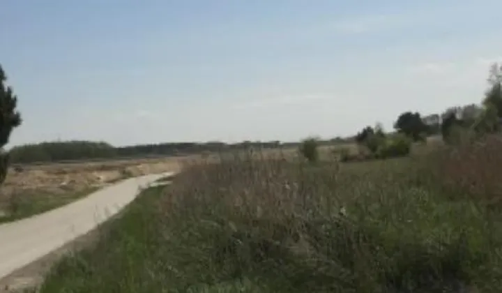 Działka budowlana Tomaszów Lubelski Sznury, ul. Kopernika