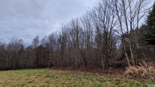 dom szeregowy, 4 pokoje Tarnawa Dolna. Zdjęcie 8
