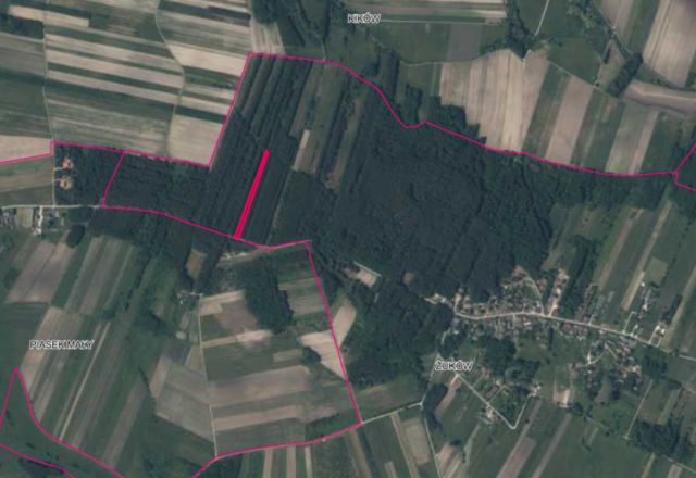 Działka leśna Żuków. Zdjęcie 1