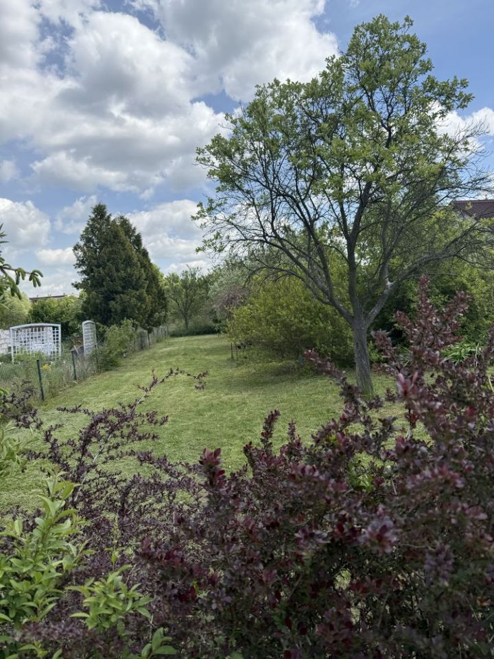 Działka rekreacyjna Żagań. Zdjęcie 7