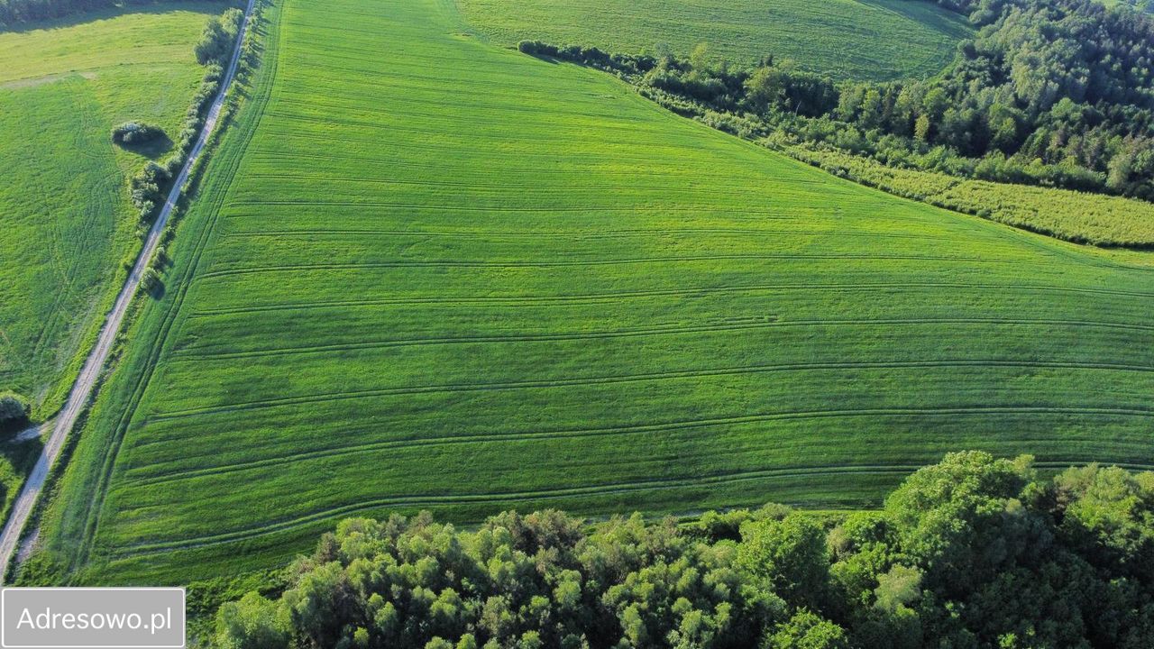 Działka rolna Leszczawa Górna. Zdjęcie 3