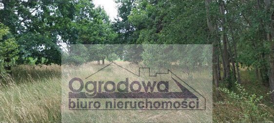 Działka siedliskowa Nowy Kębłów. Zdjęcie 6