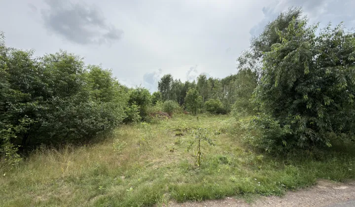 Działka budowlana Węgrzynów