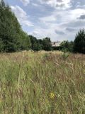 Działka rolno-budowlana Pruska Łąka. Zdjęcie 3