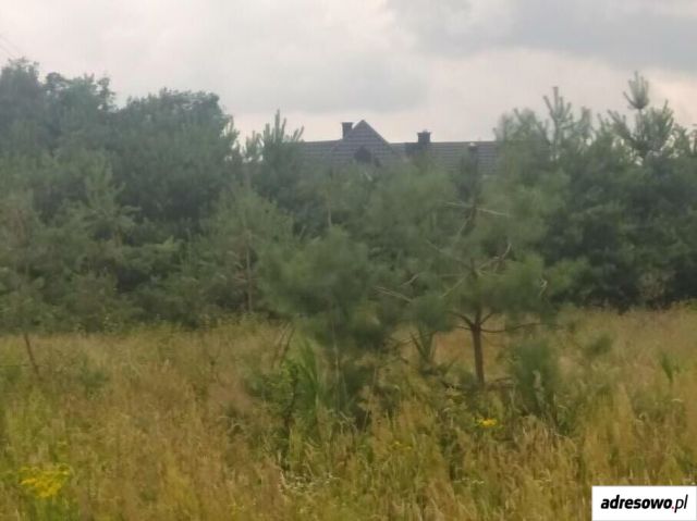 Działka rolna Wola Starogrodzka. Zdjęcie 1