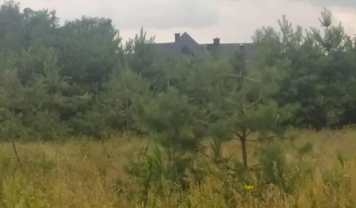 Działka rolna Wola Starogrodzka
