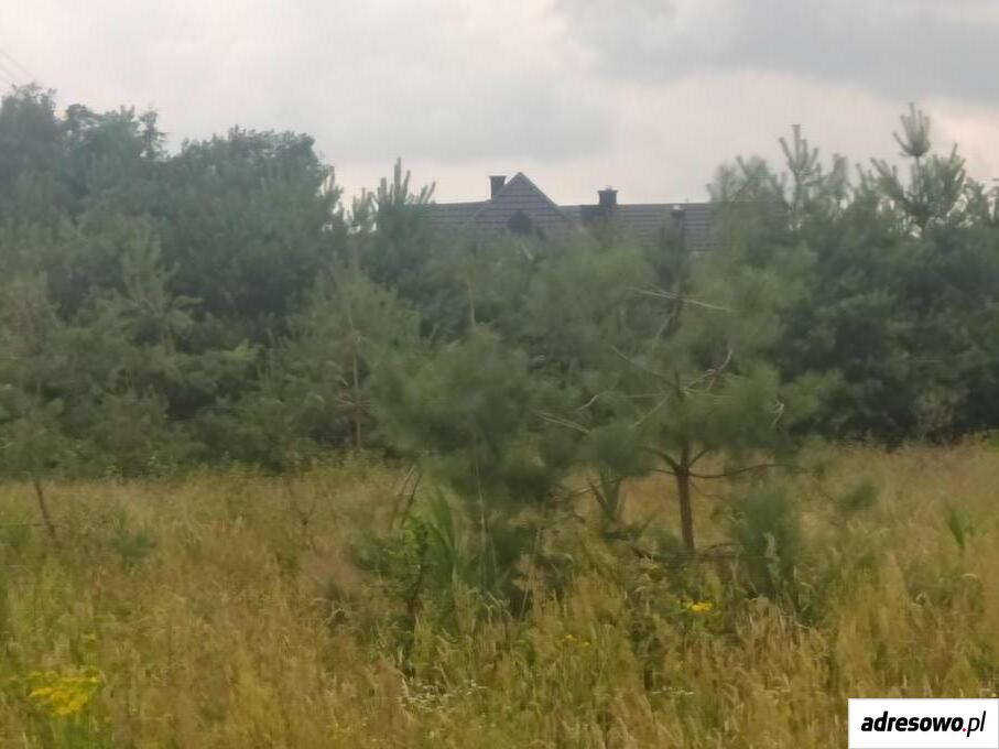 Działka rolna Wola Starogrodzka. Zdjęcie 1
