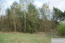 Działka rolno-budowlana Pasynki. Zdjęcie 3