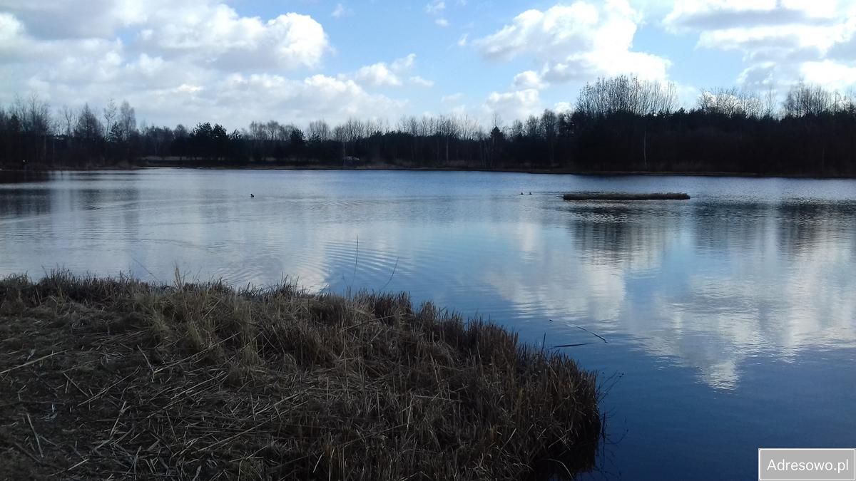Działka rolna Jaworzno Jeleń, ul. Rozwojowa. Zdjęcie 5