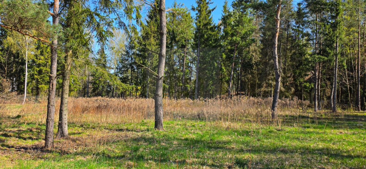 Działka budowlana Janinów. Zdjęcie 7