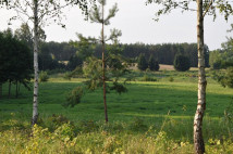 Działka budowlana Rydzewo. Zdjęcie 1