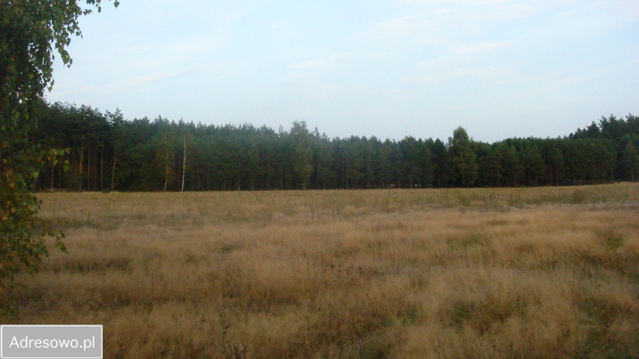 Działka siedliskowa Żeliszew Duży. Zdjęcie 8