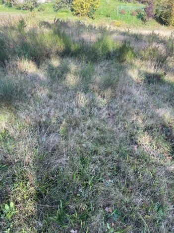 Działka budowlana Gdynia Chwarzno-Wiczlino, ul. Bernarda Myśliwka. Zdjęcie 1