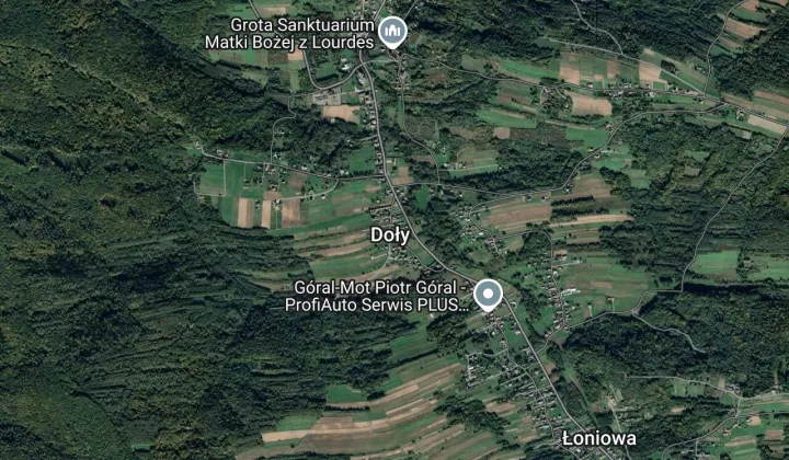 Działka leśna Doły