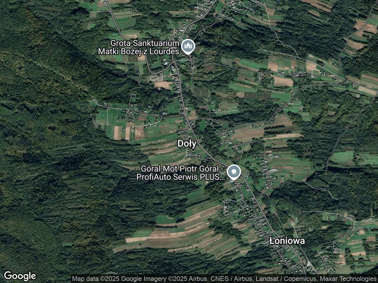 Działka leśna Doły