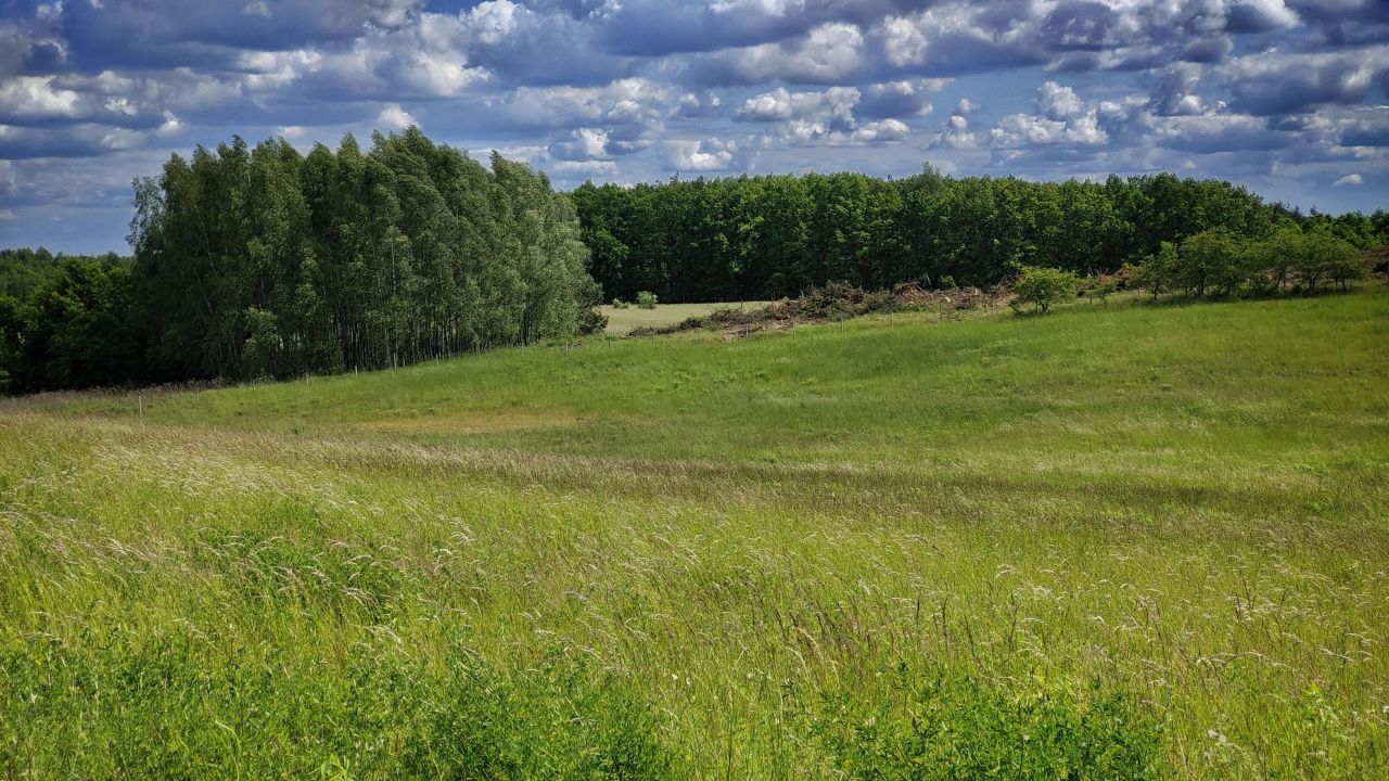 Działka rolna Łęgowo. Zdjęcie 4