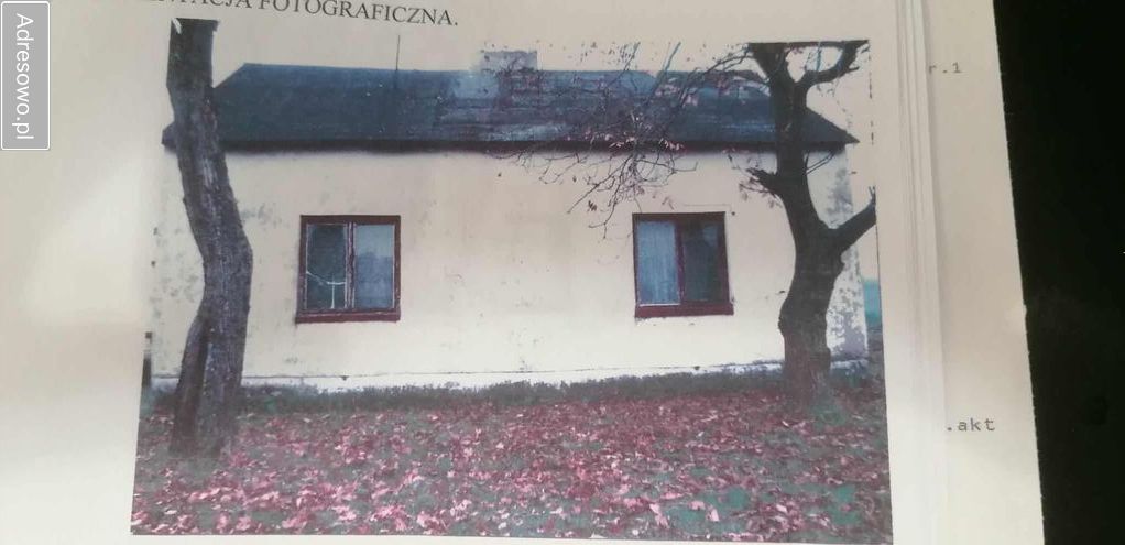 Działka rolna Steklin-Kolonia. Zdjęcie 3