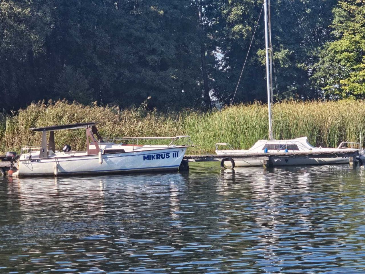 Działka rekreacyjna Radzyń. Zdjęcie 6