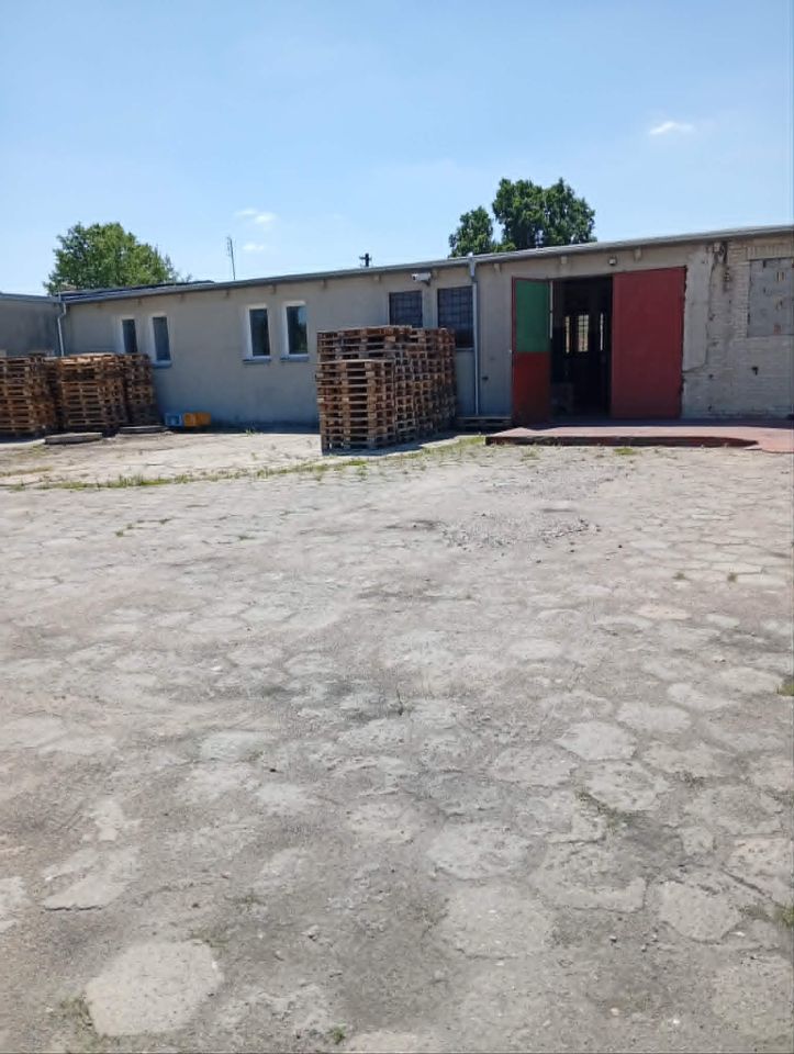 Hala/magazyn Franciszków, ul. Dębowa. Zdjęcie 4