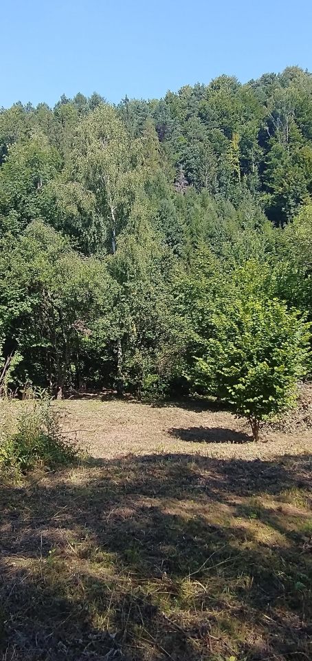 Działka budowlana Czaszyn Brzozowiec, ul. Brzozowa. Zdjęcie 3