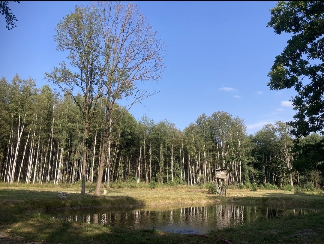 Działka rekreacyjna Irena. Zdjęcie 4