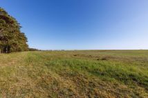 Działka Dołgie. Zdjęcie 4