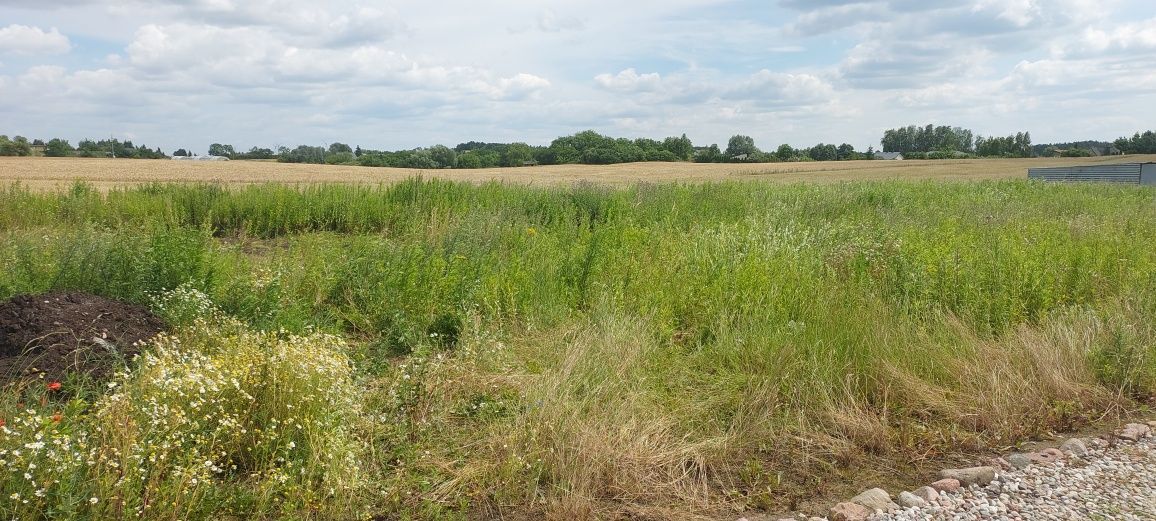 Działka budowlana Bogucin. Zdjęcie 5