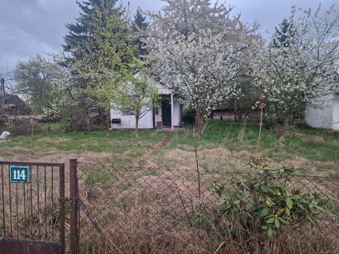 Działka rod Wrocław Partynice. Zdjęcie 2