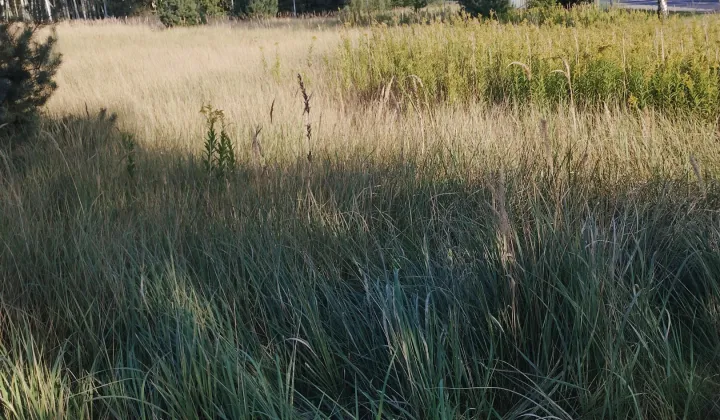 Działka budowlana Mostki