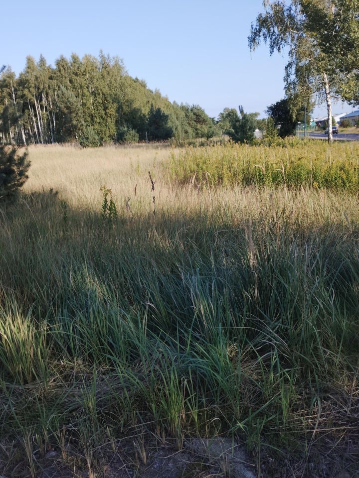 Działka budowlana Mostki. Zdjęcie 1