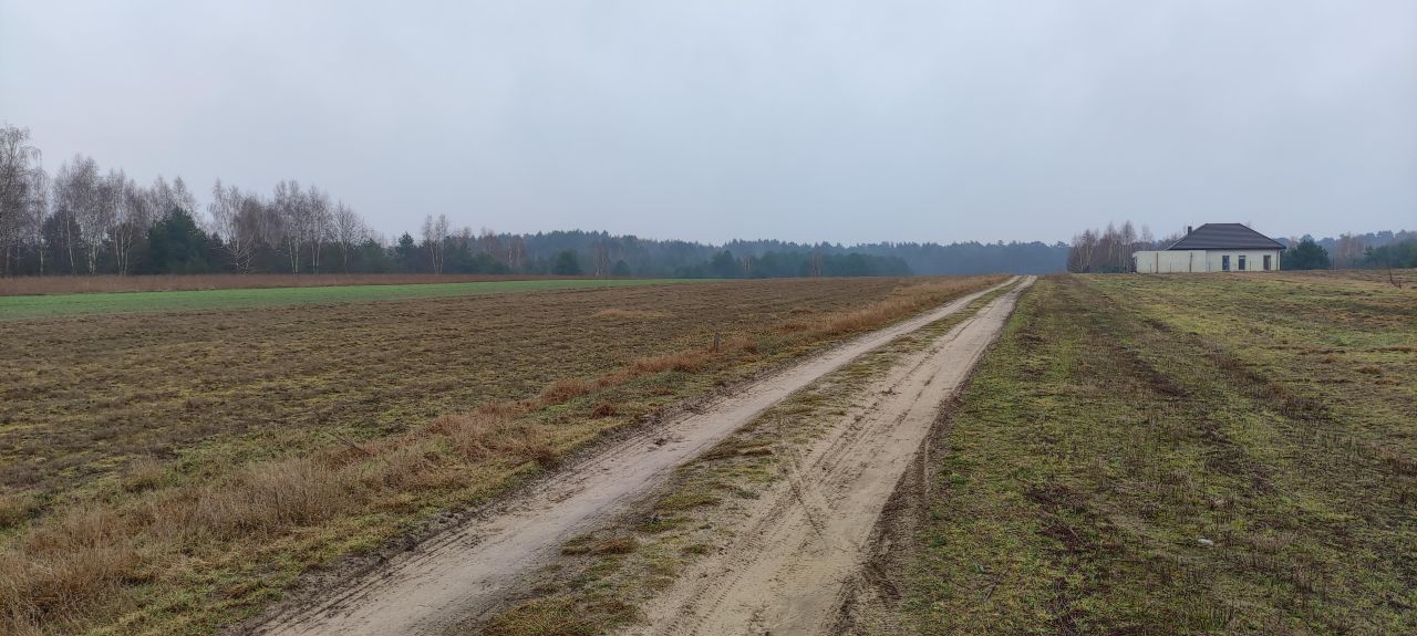 Działka budowlana Sokolniki, ul. Sierpecka. Zdjęcie 4