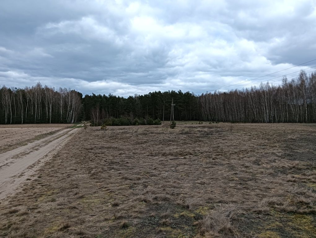 Działka budowlana Śródborze. Zdjęcie 4