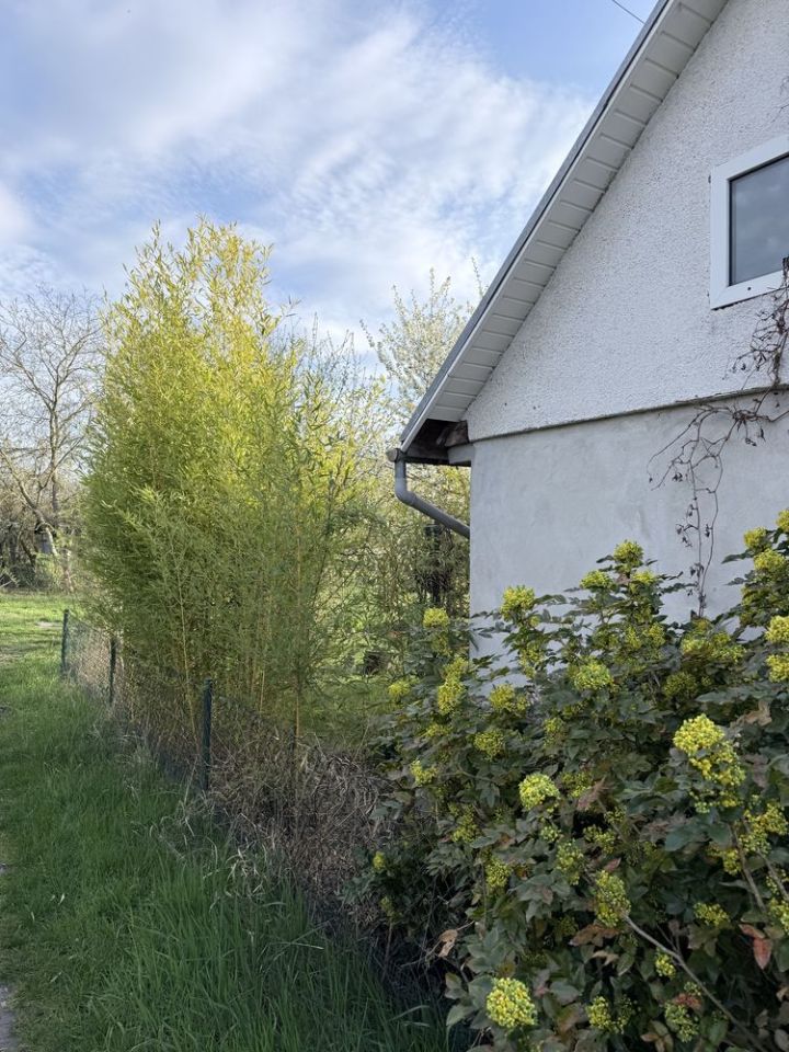 Działka rod Wrocław Fabryczna, ul. Klecińska. Zdjęcie 6