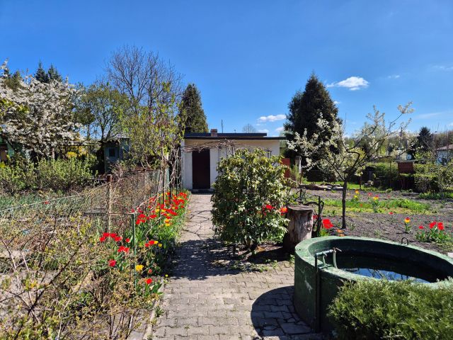 Działka rod Chorzów Batory, ul. Niedźwiedziniec. Zdjęcie 1