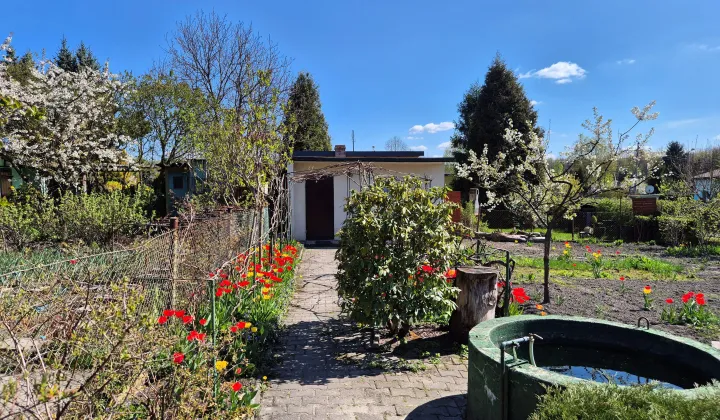 Działka rod Chorzów Batory, ul. Niedźwiedziniec